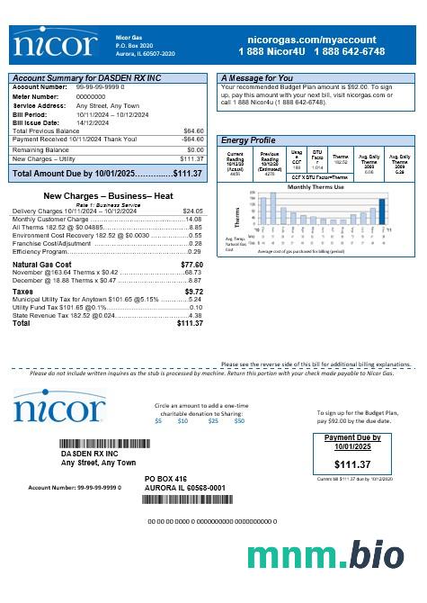 USA Illinois Nicor Gas rachunek za usługi komunalne szablon w formacie Word i PDF